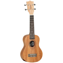 UKELELE TANGLEWOOD TWT1