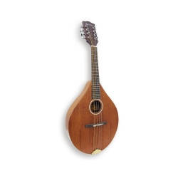 ASHBURY AM-130 MANDOLIN