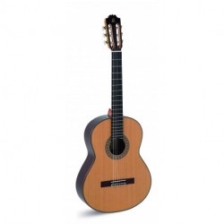 GUITARRA ADMIRA A 20 CON...