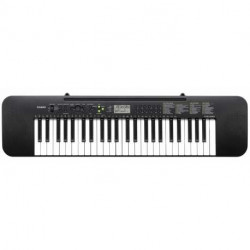 TECLADO CASIO CTK-240