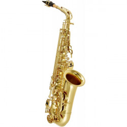 SAXO ALTO J. MICHAEL LACADO...