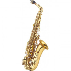 SAXO ALTO J. MICHAEL LACADO...