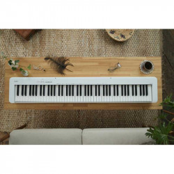 PIANO CASIO CDP S110