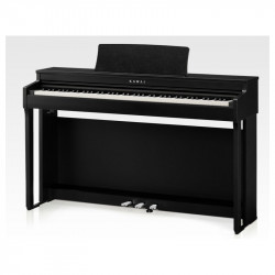 KAWAI CN201