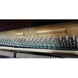 PIANO YOUNG CHANG U121
