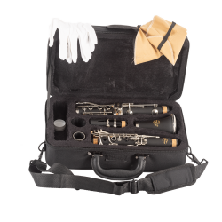 CLARINETE J.MICHAEL CL- 360