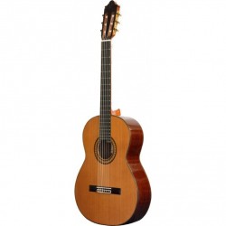 GUITARRA CAMPS M10