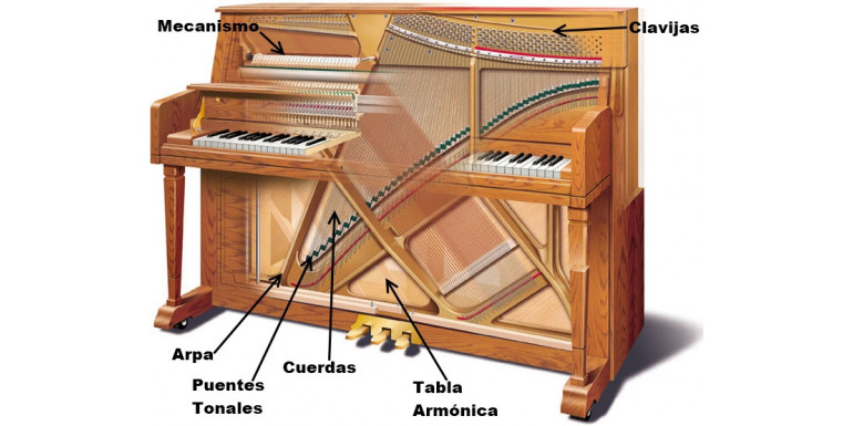 LA TABLA ARMONICA DEL PÌANO