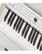 Pianos Digitales Korg · Tienda Online · Art Guinardó